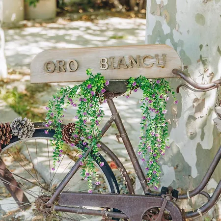 Oro Biancu 3* Lucciana (Corsica)