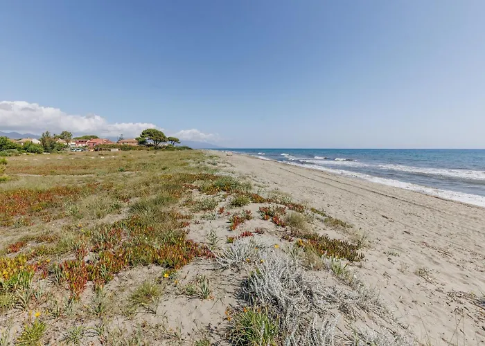 Oro Biancu Apartahotel Lucciana (Corsica)